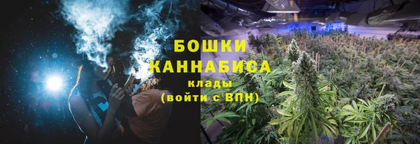 трава Алзамай